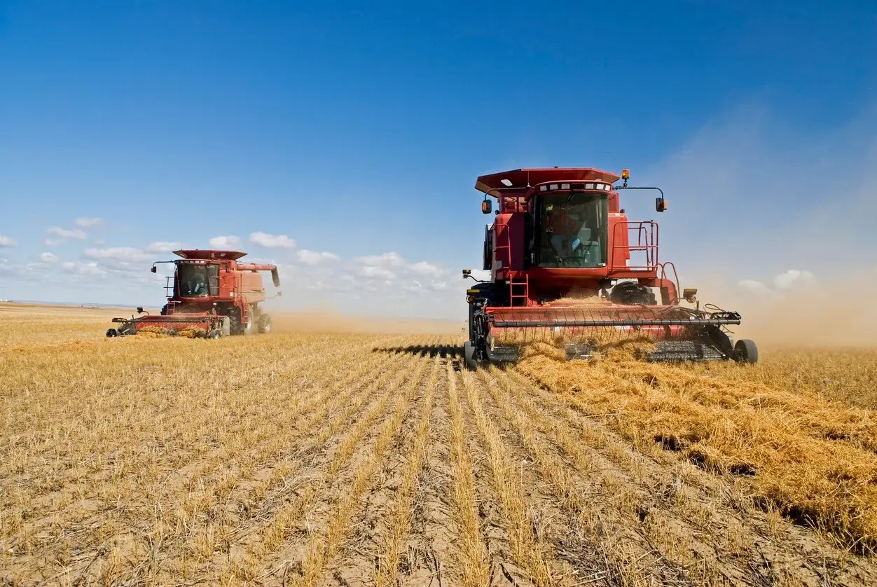 agriculture