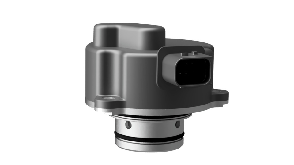 spinnaker3_trans-960x540 (1)